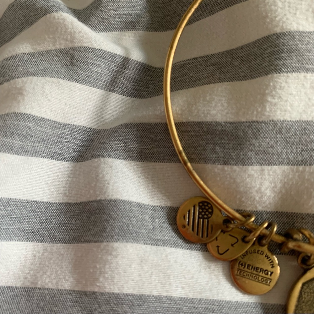 Alex and Ani bracelet - Picture 2 of 4
